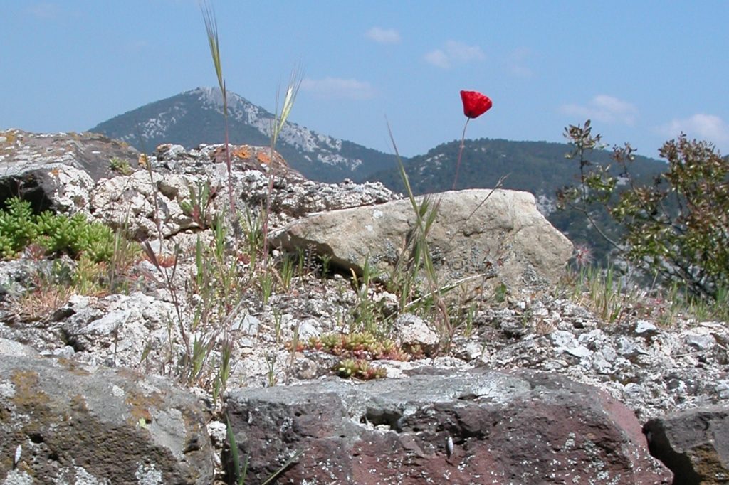 L’attribut alt de cette image est vide, son nom de fichier est 2011-Vacances-Paques21-1024x682.jpg.