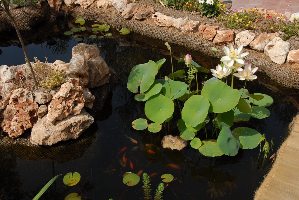 L’attribut alt de cette image est vide, son nom de fichier est BAB_0031-1024x685.jpg.