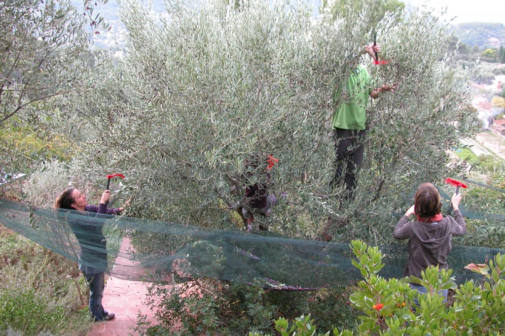 L’attribut alt de cette image est vide, son nom de fichier est DSCN3776-1024x682.jpg.