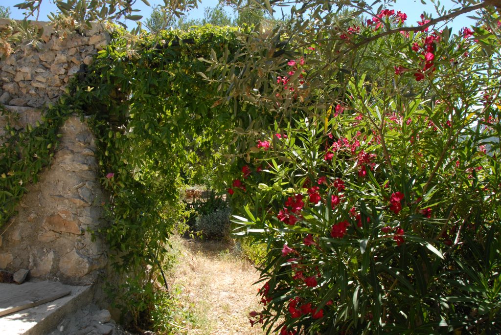 L’attribut alt de cette image est vide, son nom de fichier est MBB_0021-1024x685.jpg.