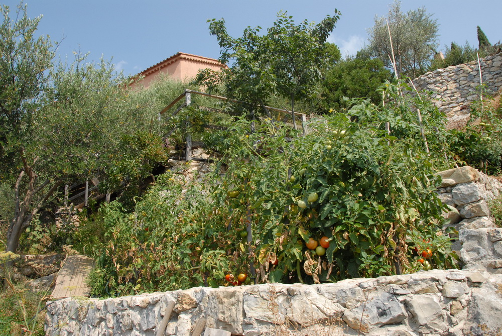 L’attribut alt de cette image est vide, son nom de fichier est MBB_0022.jpg.