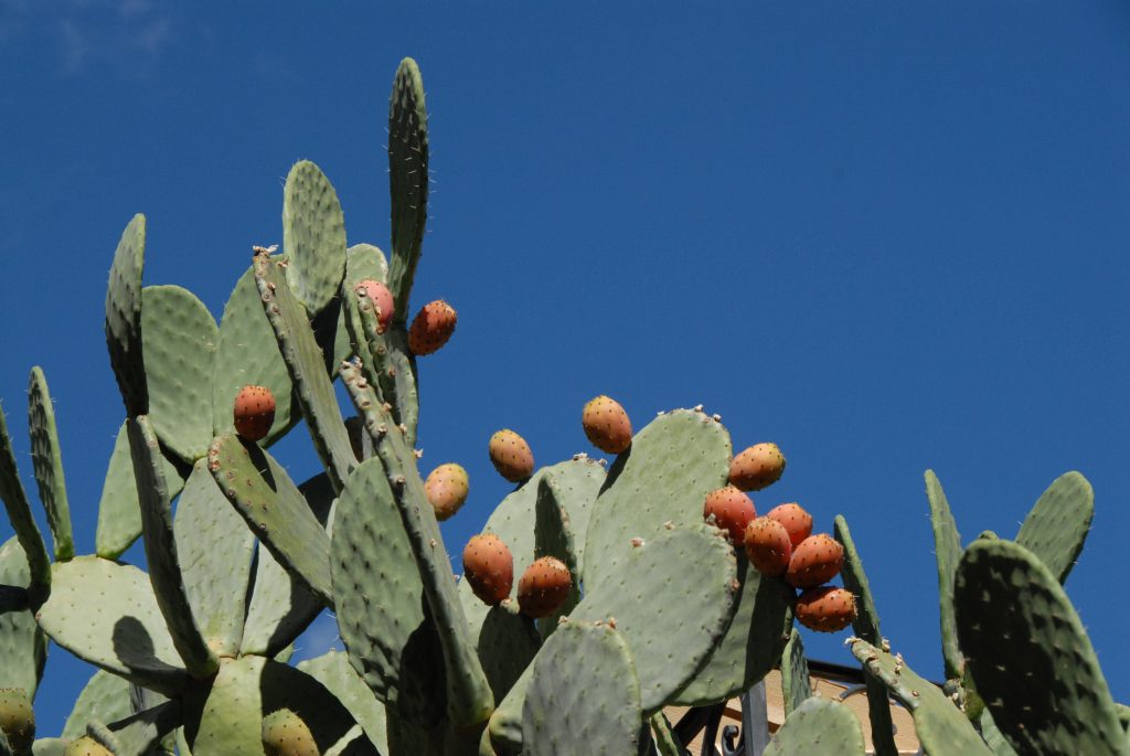 L’attribut alt de cette image est vide, son nom de fichier est MBB_0040-1024x685.jpg.