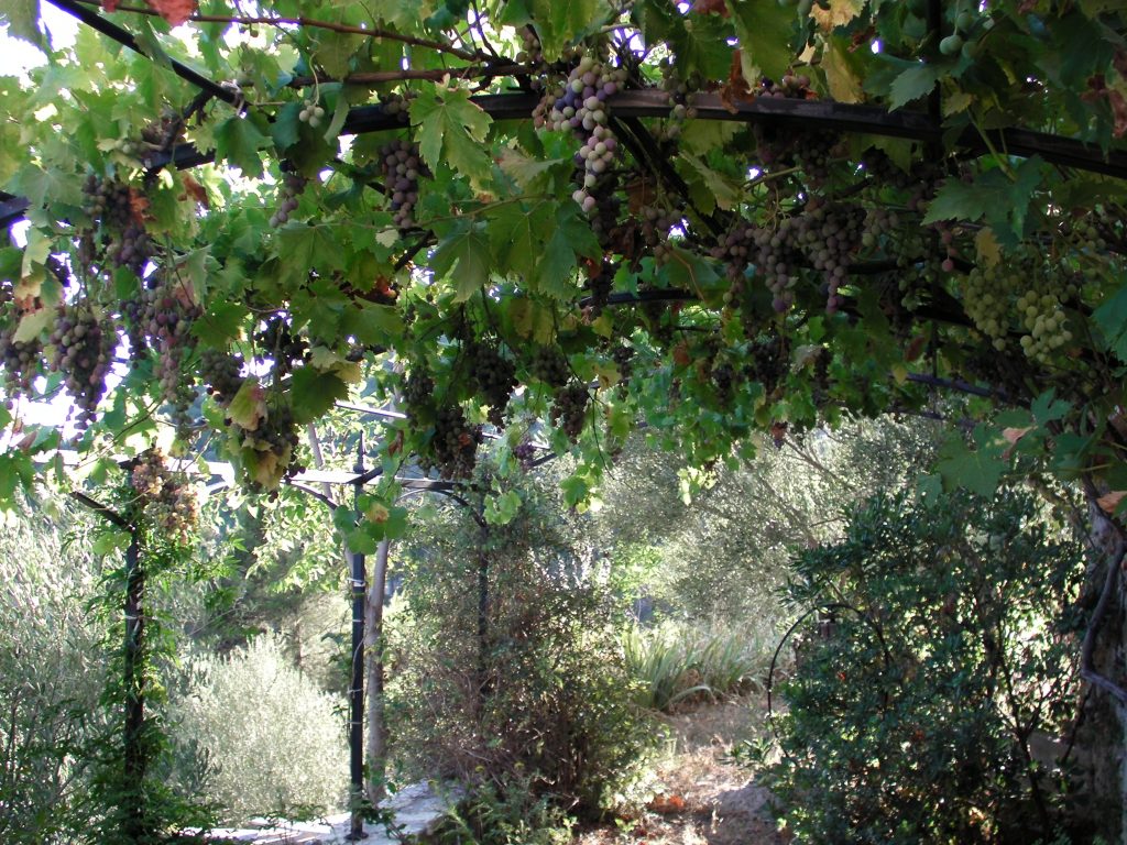 L’attribut alt de cette image est vide, son nom de fichier est SANY00017-1024x768.jpg.